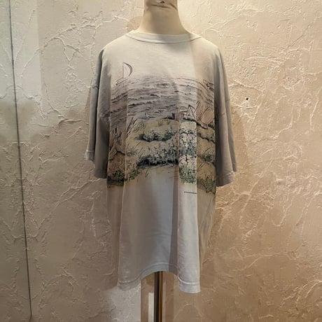 tops 786[na569]