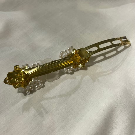 accessory 597[ge437]