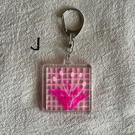 one charm for online