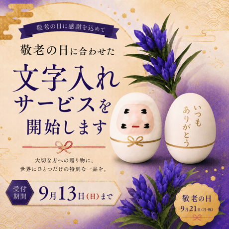 【敬老の日ギフト：無料文字入れ！】お祝いのしだるま　白　M