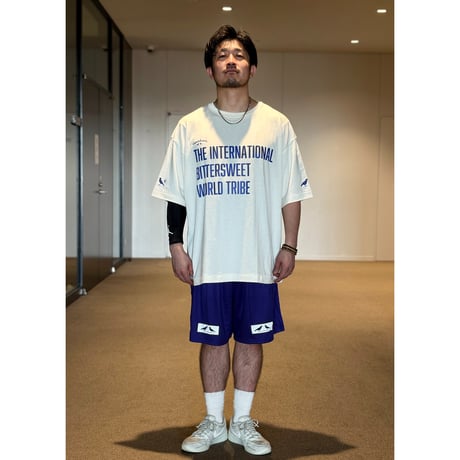 BitterSweet WORLD TRIBE TRI-BLEND BIG Tee　ヴィンテージホワイト　MサイズLサイズ