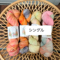 annita artwarks  Superwash merino Single シングル