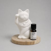 J0-3 FRAGRANCE LUCKY CAT