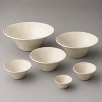 富士型ボウル