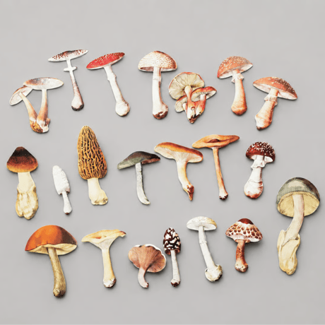 きのこコラージュシートセット