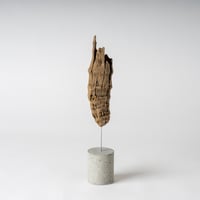 torch_C
