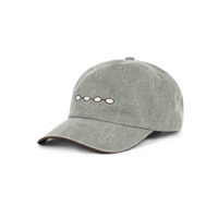 DIME SPACE LOW PRO CAP SAGE WASHED