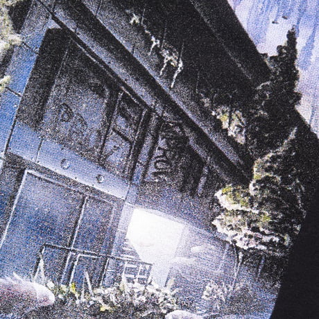 PROV X PLAKO FISH IN THE CITY TEE
