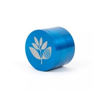 MAGENTA GRINDER BLUE