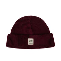 MAGENTA FAM BEANIE BASELINE BURGUNDY