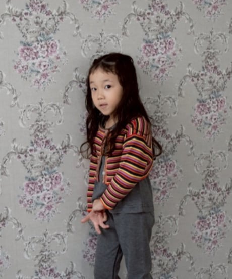 & pal / MULTI BORDER CROPPED KNIT PULLOVER