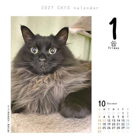 猫めくり2027リフィル（台座なし）