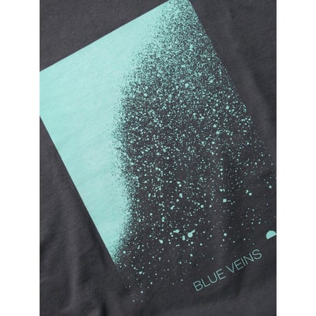 BLUE VEINS L/SL Tee or Mix CD Set