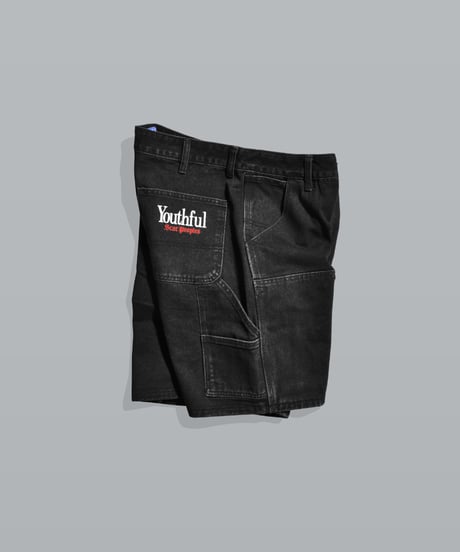 Double Knee Painter Denim Shorts / Black