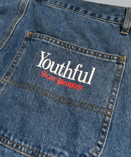 Double Knee Painter Denim Pants / Indigo
