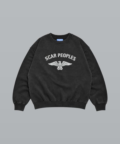 Wing Glyph Fade Crew Sweat / Fade Black