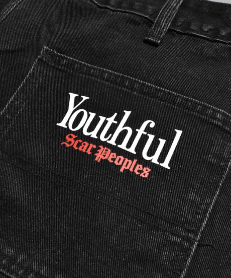 Double Knee Painter Denim Shorts / Black