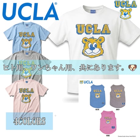 送料無料 UCLA(ユーシーエルエー）犬服 ドッグウエア ベア Tシャツ 飼い主さんとペアルック