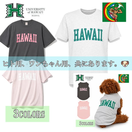 送料無料　HAWAI'I (ハワイ）　Tシャツ メンズ レディース HWUS-064 6.2oz ヘビーウエイト カレッジ ロゴ オープンエンドTシャツ アメカジ