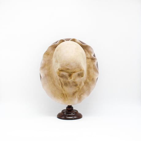 Double brim skull hat