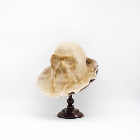 Double brim skull hat