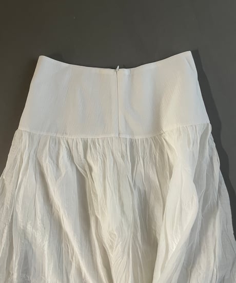 sheer pleated skirt