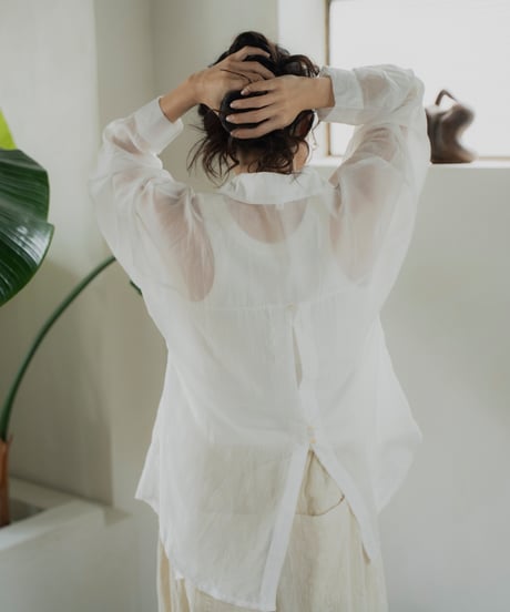 back detail sheer shirt