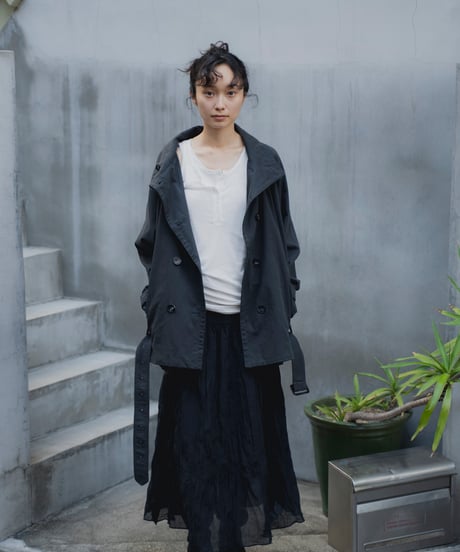 sheer pleated skirt