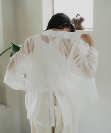 back detail sheer shirt