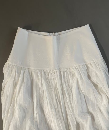 sheer pleated skirt