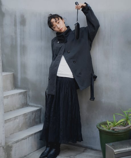 sheer pleated skirt