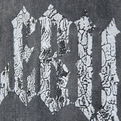 APPLEBUM vintage L/S tee
