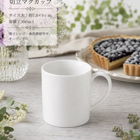 【白磁】切立マグカップ【レターパック不可】