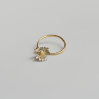 吉田史　OLD TO NEW　指輪　花の一世　散り始め　10号