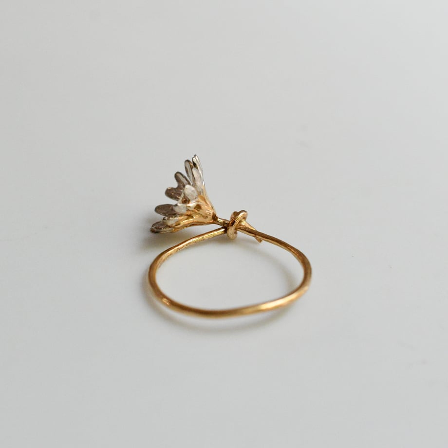 6a4f42f0712e6e14a240dd73
