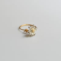 吉田史　OLD TO NEW　指輪　花の一世　散り始め　8号