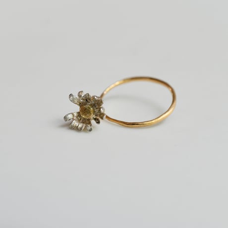 吉田史　OLD TO NEW　指輪　花の一世　散り始め　10号