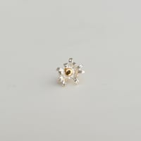 吉田史　OLD TO NEW　ピアス　花の一世　散り始め　片耳