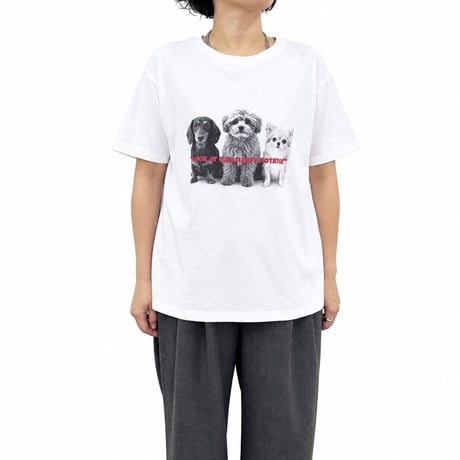 【siro de labonte】dog or cat? T shirt（レディースサイズ）※納期3/下～4/下