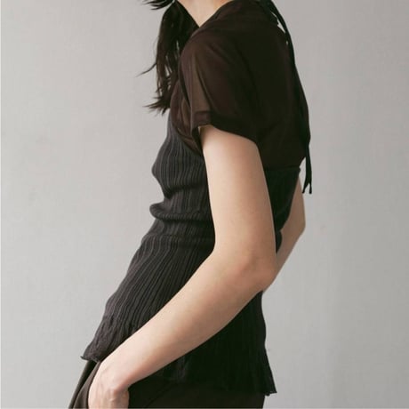 【anuke】Sheer Tulle T-shirts　※納期4月下旬～5月下旬