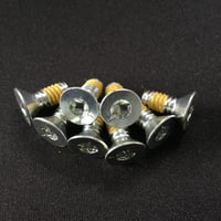 インスペクションカバーTORXスクリュー　for Sportster（'91-）