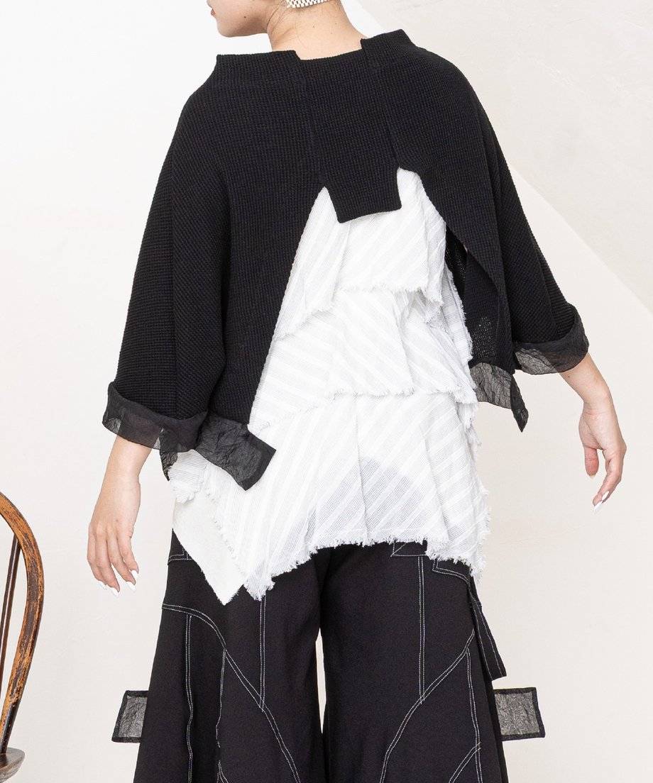 6a602e588116d50675533018