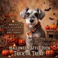 [ATK21] 犬用 ハロウィン ミサンガ ドッグアクセサリー ハンドメイド ビーズ チャーム付き 約45cm 小型犬 中型犬 ペット 首飾り 撮影 コスチューム