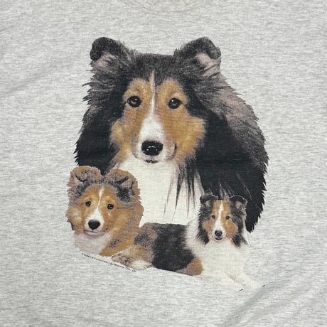 【USED】90's Robert & Eunice Pearcy by Teletrend, Cols., OH Shetland Sheepdog Photo Print Sweatshirt