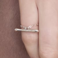 norme frame bar ring / SV925