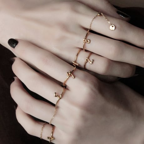 norme chain  ring [bold/1P] / K10