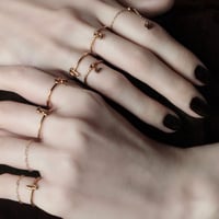 norme numbering ring / SV925＋Gold Plated