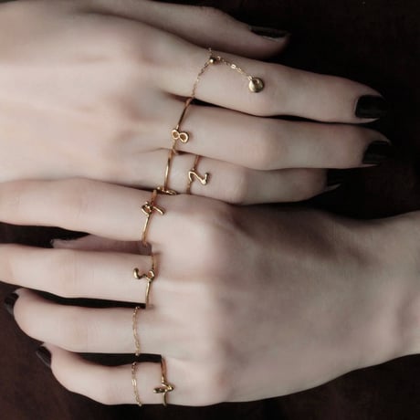 norme chain  ring [bold/1P] / K10