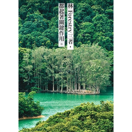 ＜ご予約＞【就係香港☆Being Hong Kong・季刊】　「風　水　林」＃030/2026秋季號  /  #R610301N