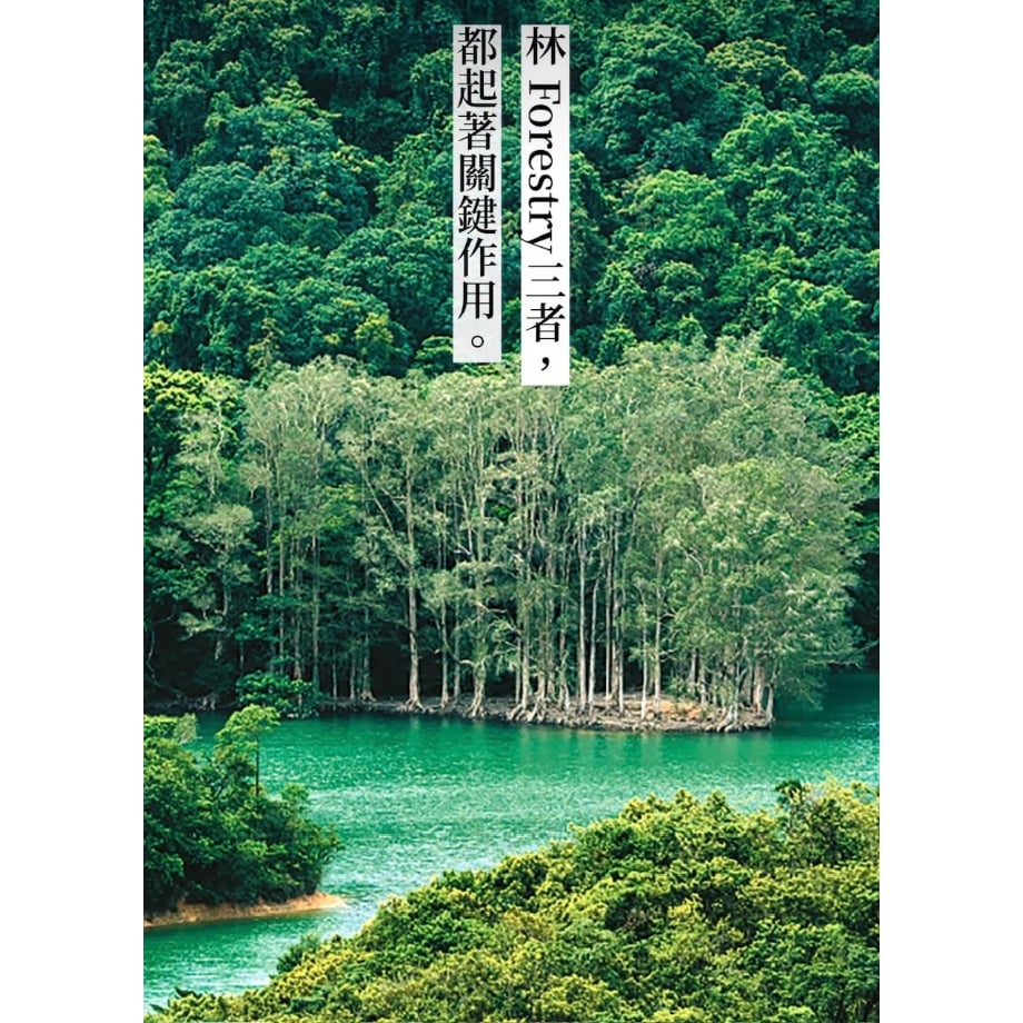 6ae42975e55dbae9799dd456